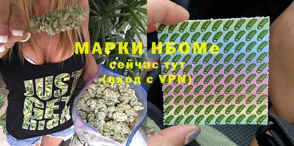 дурь Бронницы